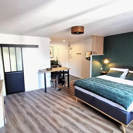 Appart De Charme Hyper-centre ! Apartment Limoges